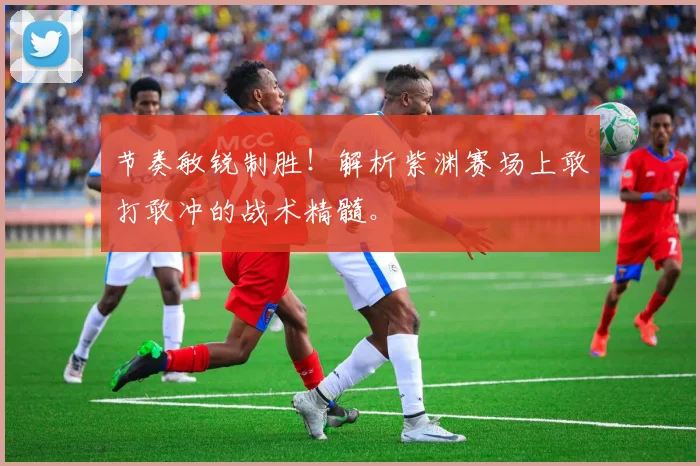 节奏敏锐制胜！解析紫渊赛场上敢打敢冲的战术精髓。